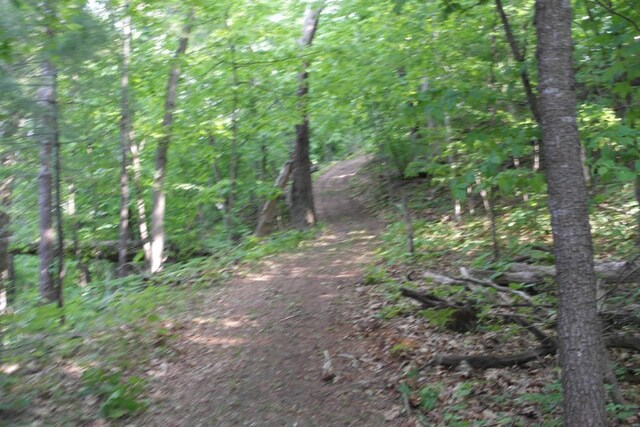 N4568 County Rd N, Frankfort Twp, WI 54721 - photo 39