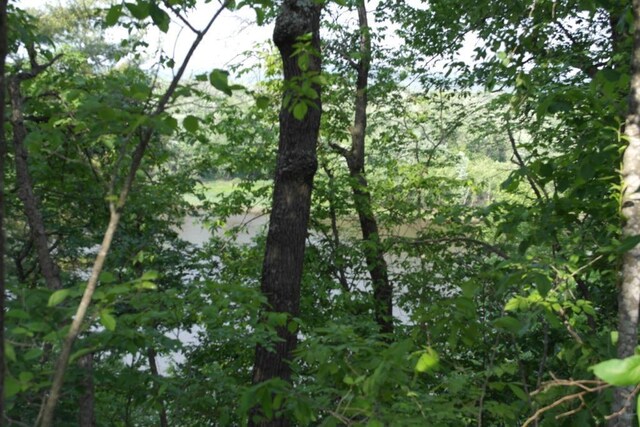 N4568 County Rd N, Frankfort Twp, WI 54721 - photo 45