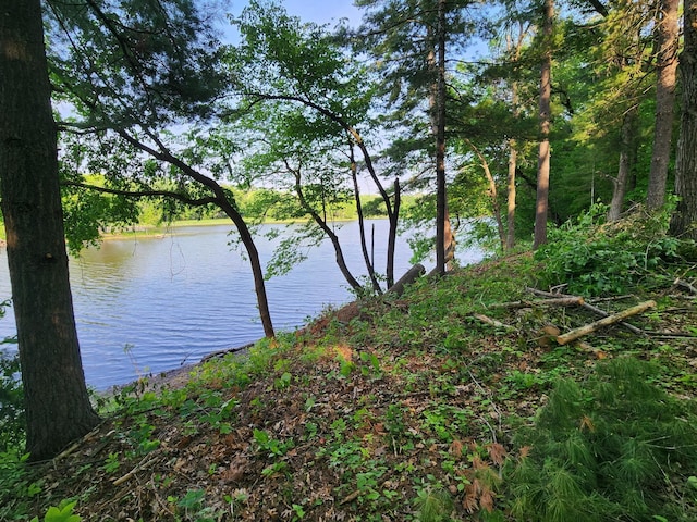N4568 County Rd N, Frankfort Twp, WI 54721 - photo 1