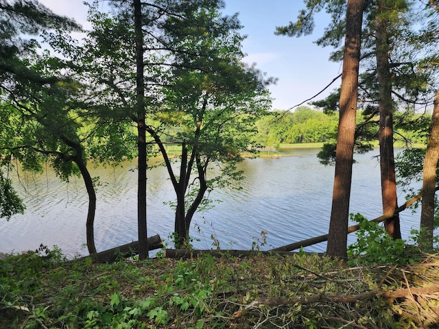 N4568 County Rd N, Frankfort Twp, WI 54721 - photo 2