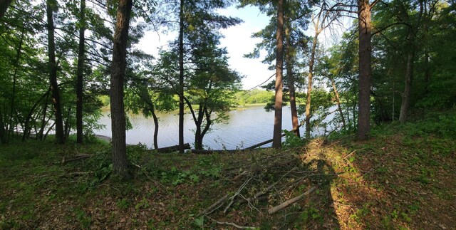 N4568 County Rd N, Frankfort Twp, WI 54721 - photo 3