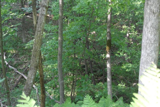 N4568 County Rd N, Frankfort Twp, WI 54721 - photo 8