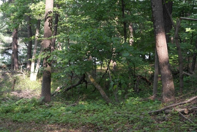 N4568 County Rd N, Frankfort Twp, WI 54721 - photo 14
