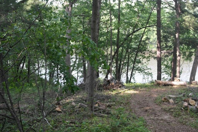 N4568 County Rd N, Frankfort Twp, WI 54721 - photo 15