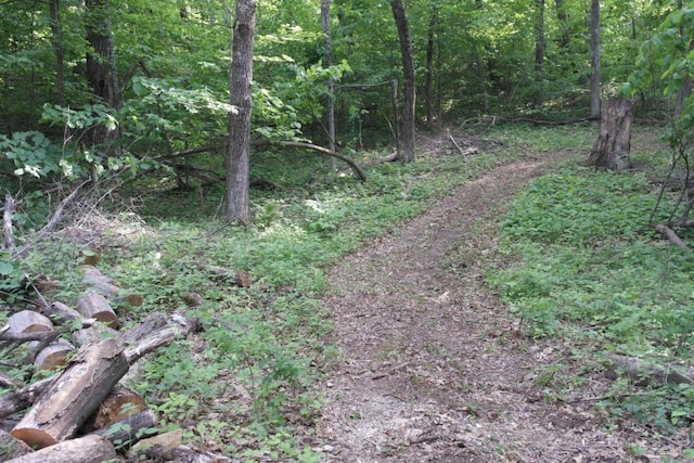 N4568 County Rd N, Frankfort Twp, WI 54721 - photo 19