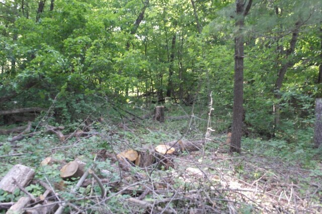 N4568 County Rd N, Frankfort Twp, WI 54721 - photo 21