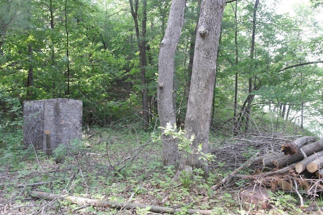 N4568 County Rd N, Frankfort Twp, WI 54721 - photo 22