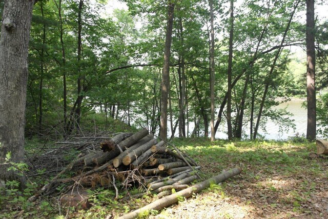 N4568 County Rd N, Frankfort Twp, WI 54721 - photo 23