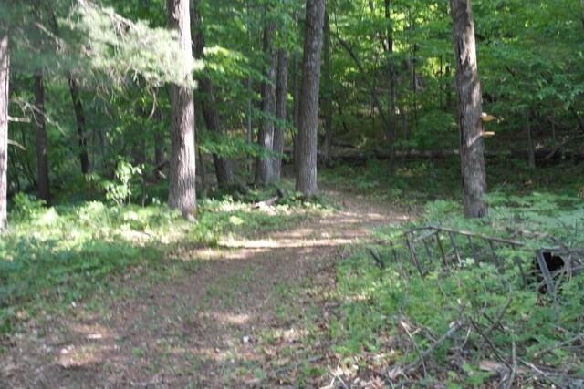 N4568 County Rd N, Frankfort Twp, WI 54721 - photo 34
