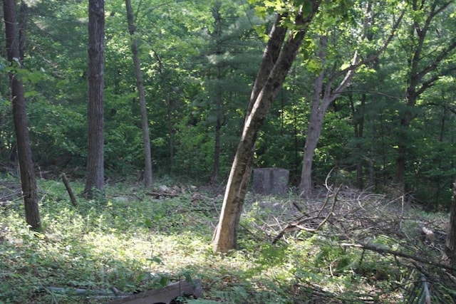 N4568 County Rd N, Frankfort Twp, WI 54721 - photo 37