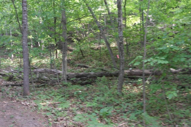 N4568 County Rd N, Frankfort Twp, WI 54721 - photo 38