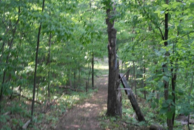 N4568 County Rd N, Frankfort Twp, WI 54721 - photo 42