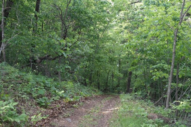 N4568 County Rd N, Frankfort Twp, WI 54721 - photo 46
