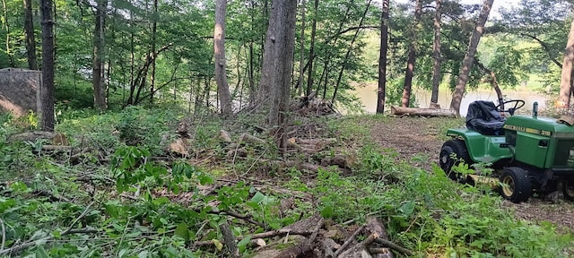 N4568 County Rd N, Frankfort Twp, WI 54721 - photo 50