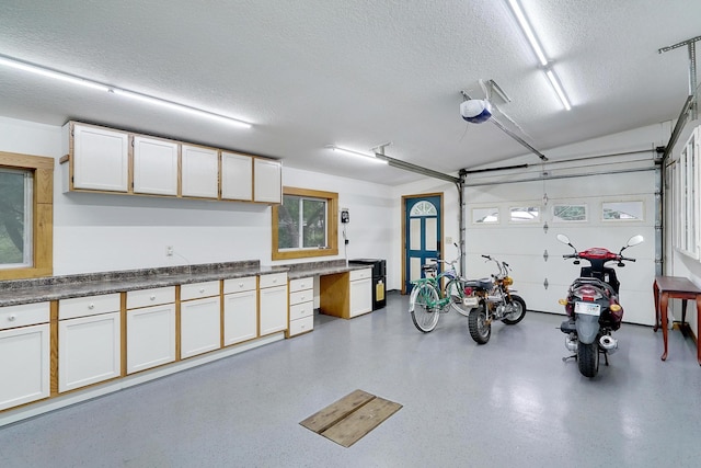 108 1st St, Kenyon, MN 55946 - garage featuring a garage door opener
