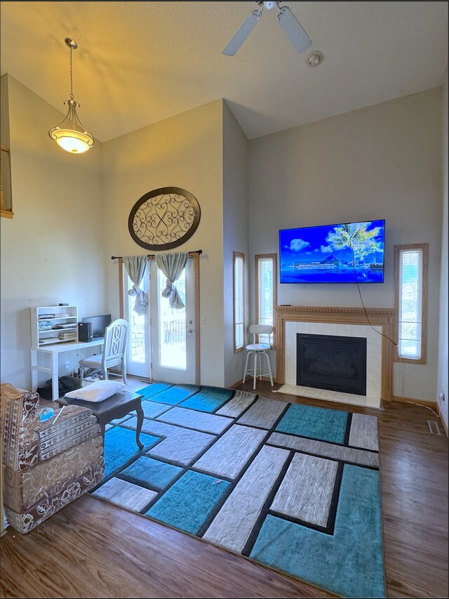 14132 Heywood Path, Apple Valley, MN 55124 - living area featuring high vaulted ceiling, a fireplace, a healthy amount of sunlight, and wood finished floors