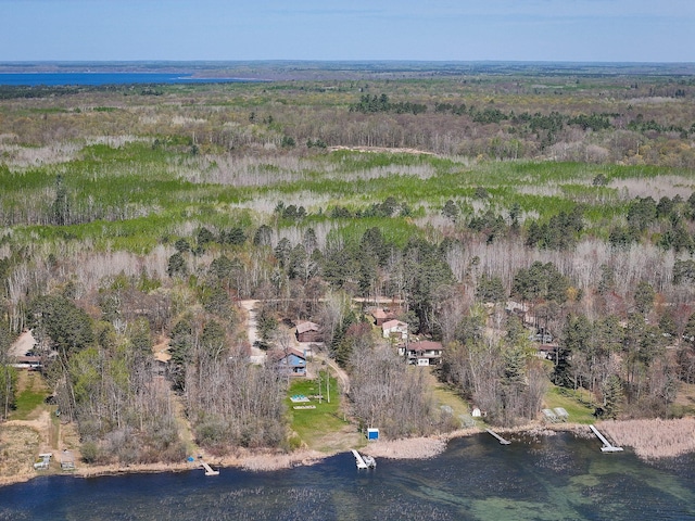 22004 Old Curry Rd SE, Cass Lake, MN 56633 - view of property location with a large body of water and a heavily wooded area