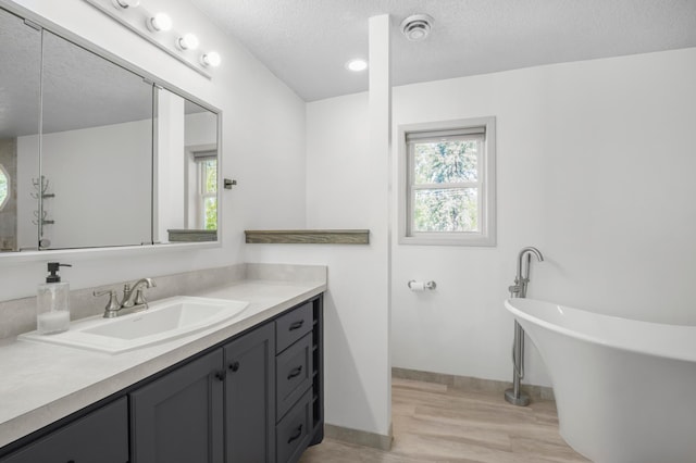 11799 191st Ave NW, Elk River, MN 55330 - bathroom featuring a textured ceiling, wood finished floors, vanity, a freestanding bath, and baseboards
