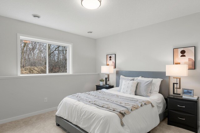 1121 Seurer St, Elko New Market, MN 55054 - photo 25