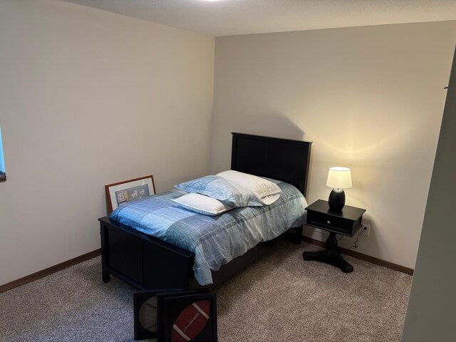 1121 Seurer St, Elko New Market, MN 55054 - photo 43