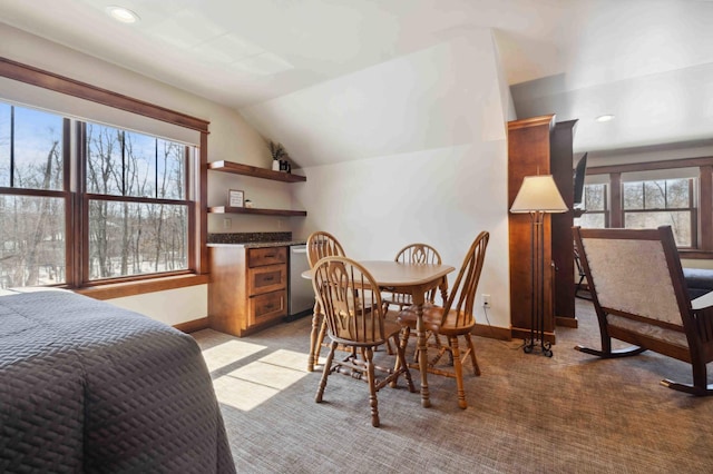 11857 Maplewood Dr, East Gull Lake, MN 56401 - photo 65