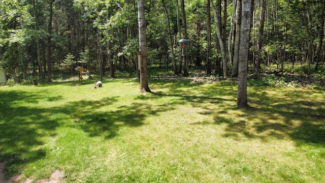 38549 Arrow Wood Ct, Sturgeon Lake, MN 55783 - photo 31