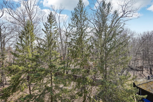8621 Basswood Rd Unit 32, Eden Prairie, MN 55344 - view of local wilderness with a forest view