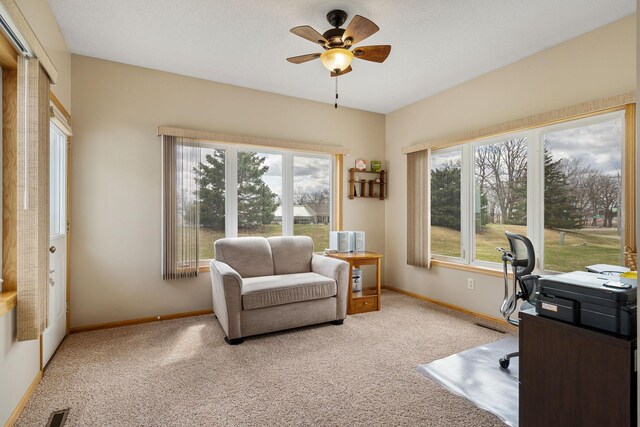 2425 Mossy Creek Dr NE, Owatonna, MN 55060 - photo 7