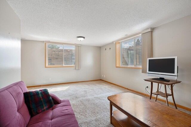 2425 Mossy Creek Dr NE, Owatonna, MN 55060 - photo 27