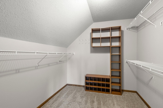 6387 203rd Ct N, Forest Lake, MN 55025 - spacious closet featuring lofted ceiling and carpet