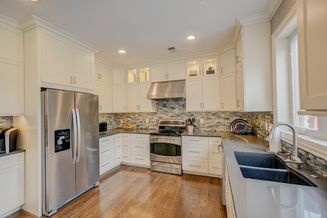 kitchen featuring a sink, white cabinetry, under cabinet range hood, and stainless steel appliances