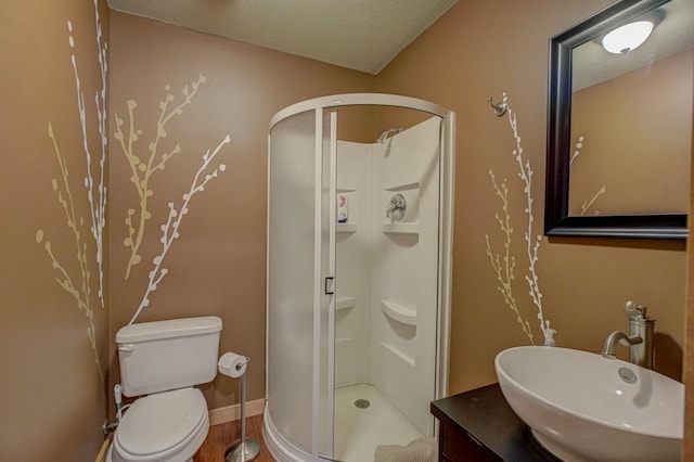 full bathroom with vanity, a shower stall, toilet, and a textured ceiling