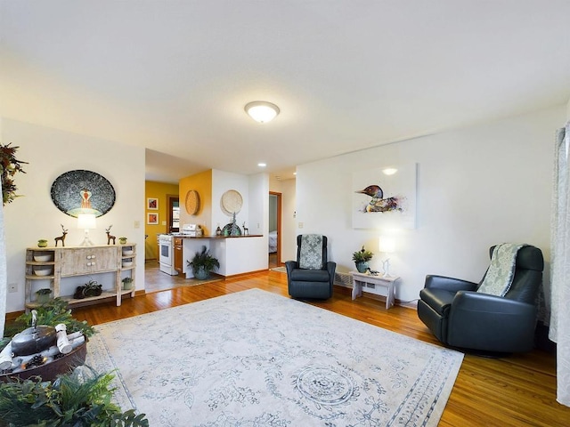 living area featuring wood finished floors