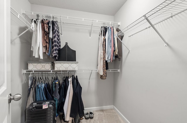 spacious closet with carpet