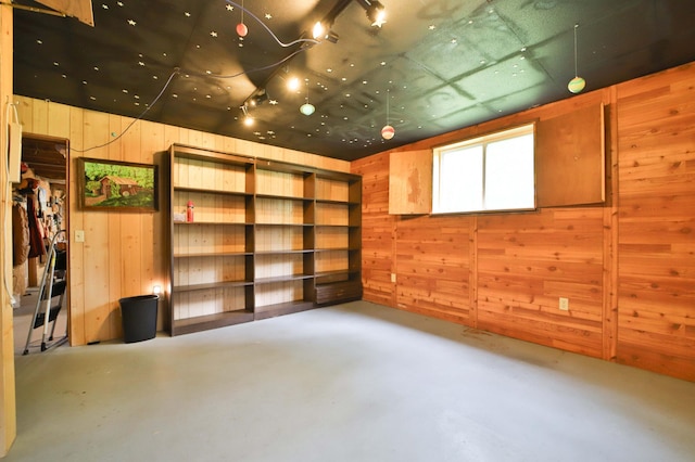 21682 Rebel Rd, Center Twp, MN 56465 - below grade area with wood walls