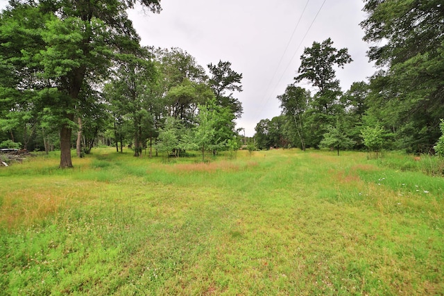 21682 Rebel Rd, Center Twp, MN 56465 - view of nature
