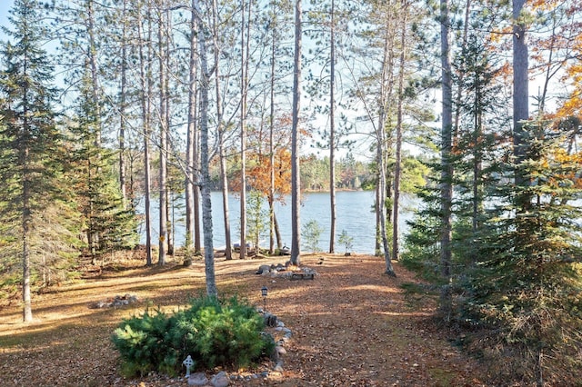 property view of water