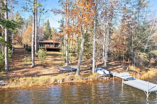 dock area featuring a water view