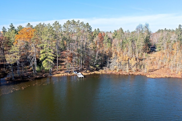 property view of water featuring a wooded view