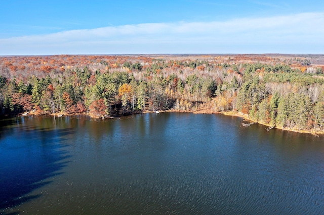 drone / aerial view with a water view and a view of trees