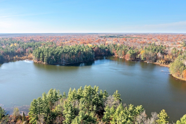 drone / aerial view with a forest view and a water view