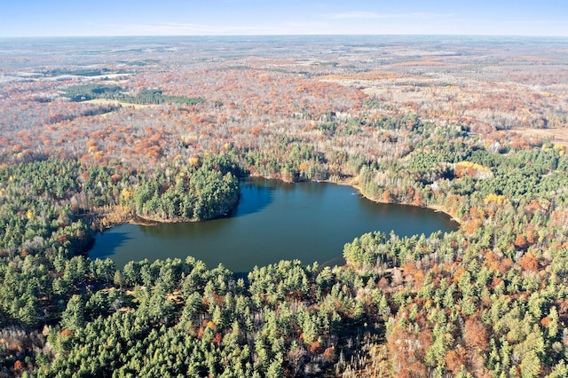 birds eye view of property featuring a water view and a view of trees
