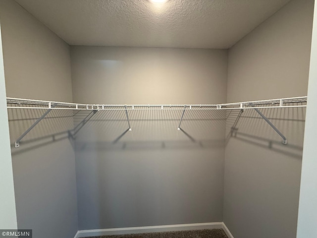 spacious closet featuring carpet