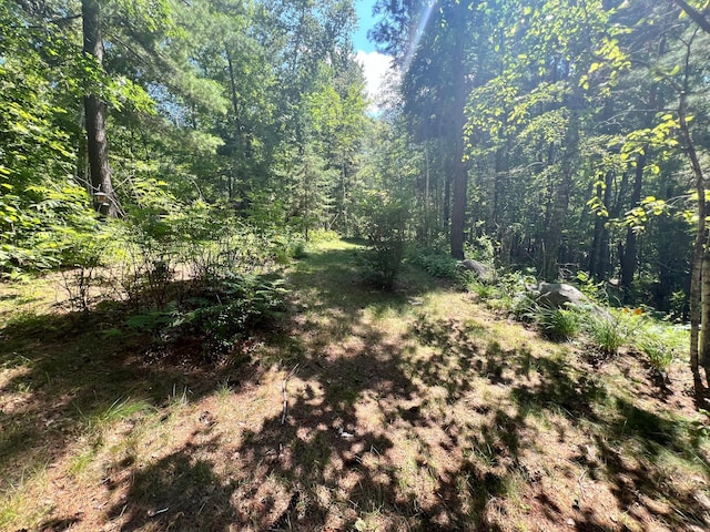 view of nature with a wooded view