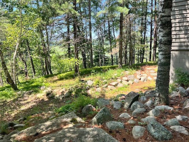 view of local wilderness