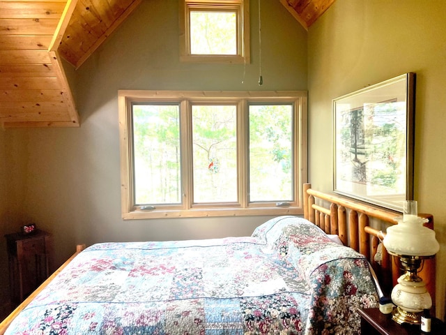 bedroom with high vaulted ceiling