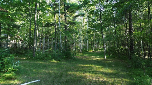 view of nature with a forest view