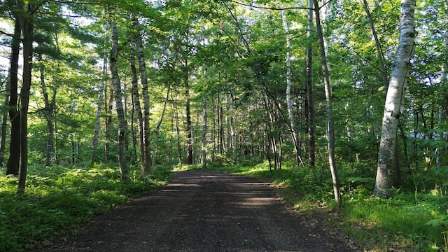 view of road with a wooded view
