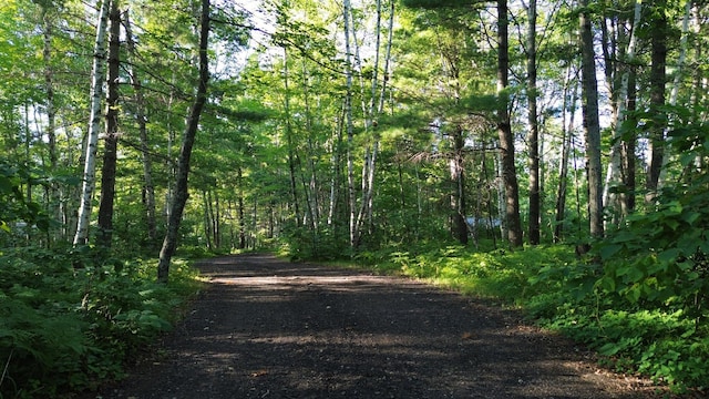 view of road featuring a forest view