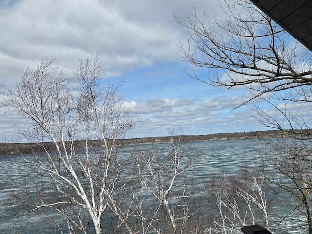 property view of water